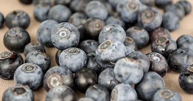 Ile kalorii mają jagody? Wartość odżywcza i korzyści dla zdrowia