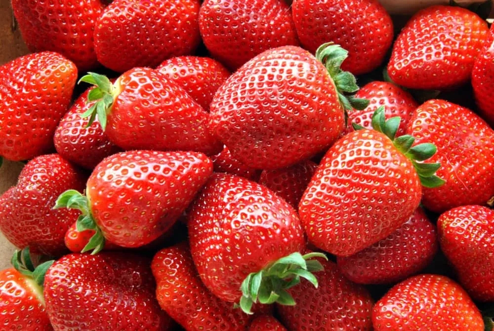 Ile kalorii mają truskawki? Wartość odżywcza i wpływ na dietę w 100 g