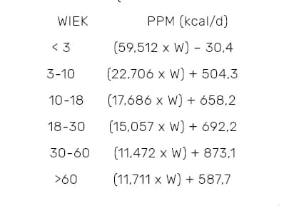 Ile kalorii potrzebuje mężczyzna? Oblicz swoje zapotrzebowanie i uniknij błędów w diecie